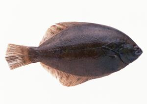 那覇空港内にあるJimmy’s空港店の魅力と詳細情報