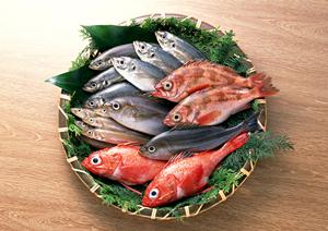 新橋の牡蠣食べ放題！焼き牡蠣と海鮮料理を楽しめる人気店「かき小屋 新橋」徹底ガイド