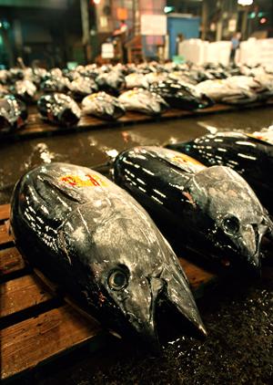 贈り物に最適！極上の神戸牛を通販で手軽に購入しよう