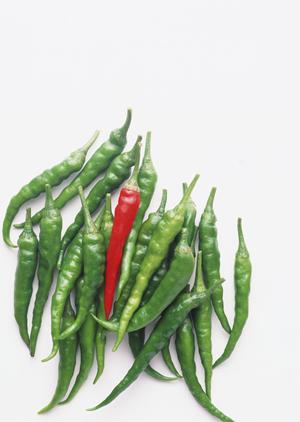 東京で楽しむ！高級弁当デリバリーの選び方とおすすめサービス2025