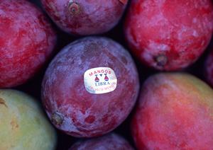 府中の創作料理と多彩なドリンクが楽しめる「都夏（つげ）」の魅力と情報