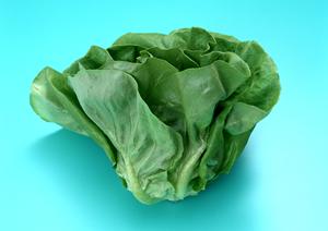 下関から全国へ関とら本店のふぐ通販