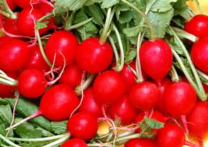 かまどか 秋葉原店の魅力と店舗情報